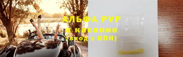 стаф Абинск