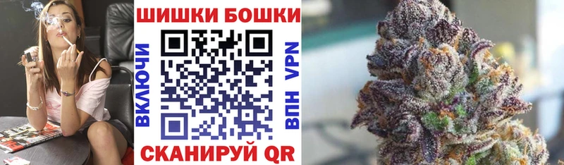 где купить наркоту  Дербент  Бошки Шишки семена 